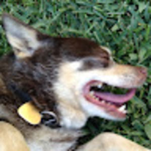 Meet your Posher, Isaiah